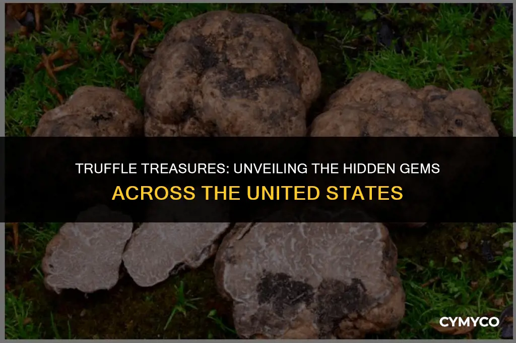 where are truffles found in the united states