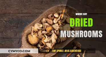 Exploring the Best Sources for Purchasing Dried Mushrooms Online