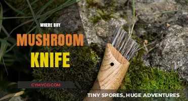 Essential Tools for Foraging: Where to Buy the Best Mushroom Knife