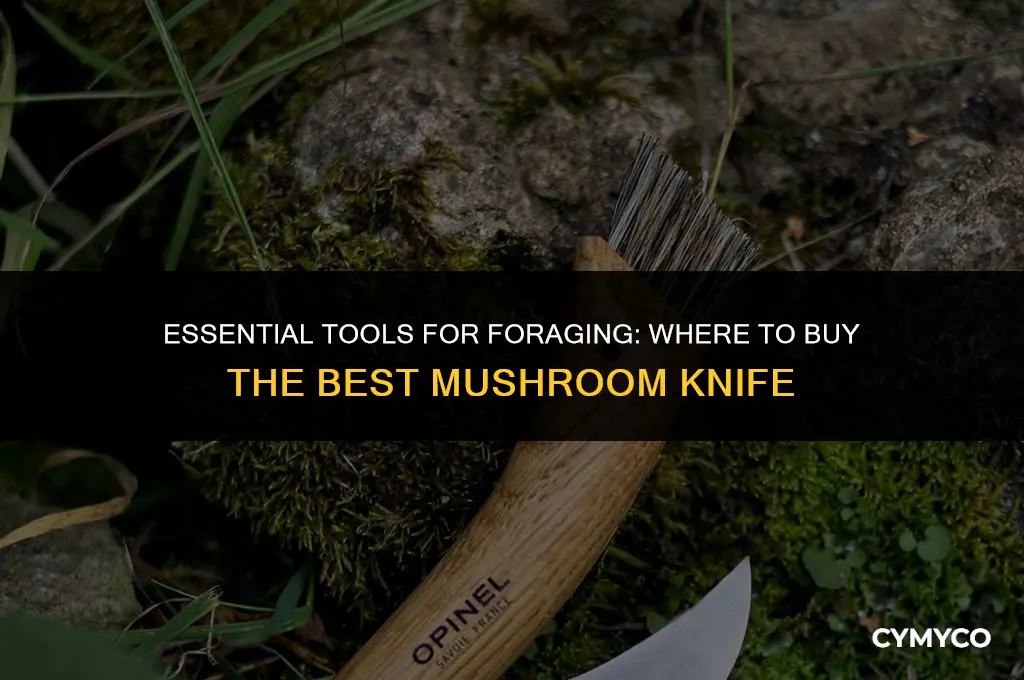 where buy mushroom knife