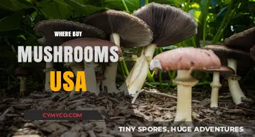 Exploring the Best Spots to Buy Mushrooms in the USA
