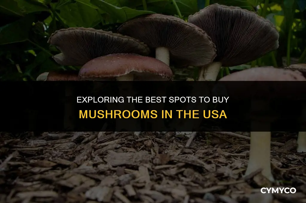 where buy mushrooms usa