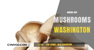 Exploring the Best Spots to Buy Fresh Mushrooms in Washington