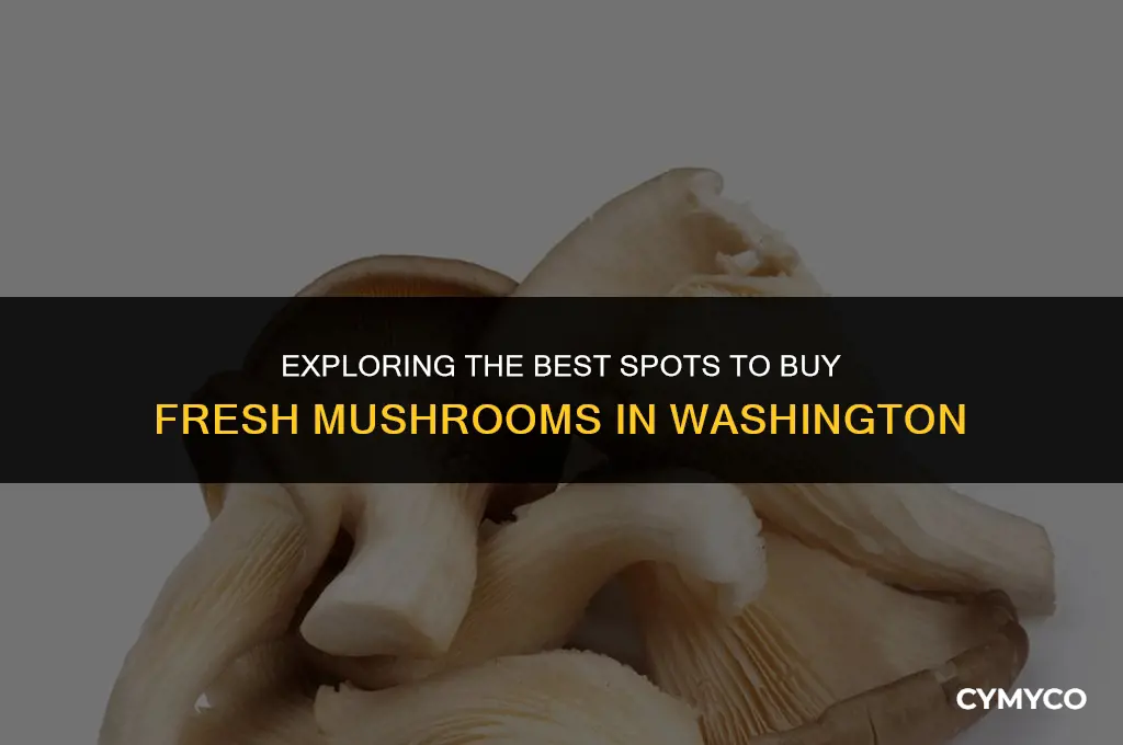 where buy mushrooms washington
