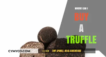 Indulge in Gourmet Delights: Where to Find the Perfect Truffle