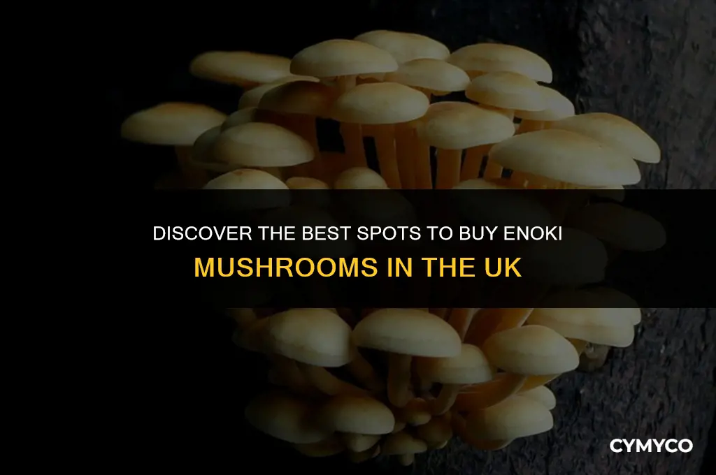 where can i buy enoki mushrooms uk