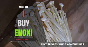 Discover the Best Places to Buy Fresh Enoki Mushrooms Near You