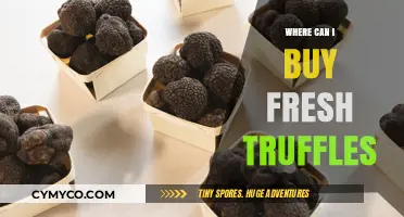Truffle Treasures: Your Guide to Finding Fresh Truffles Locally and Online