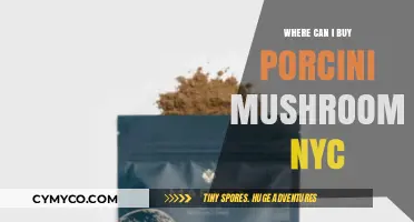Discovering Porcini Mushrooms in NYC: A Foodie's Guide