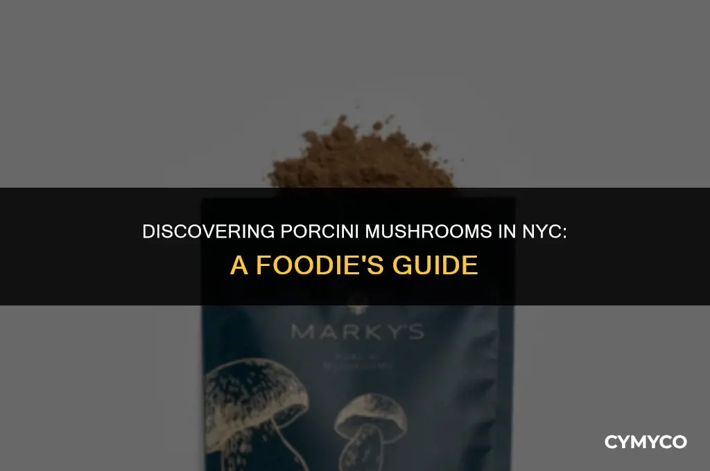 where can i buy porcini mushrooms nyc