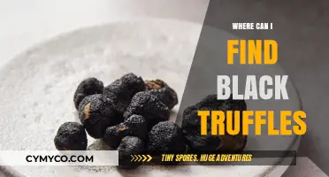 Truffle Treasures: Unearthing the Elusive Black Truffle