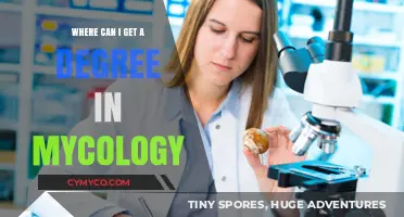 Exploring the Best Mycology Degree Programs: Your Guide to a Fascinating Career