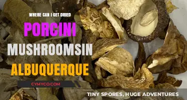 Discovering Albuquerque's Best Spots for Dried Porcini Mushrooms