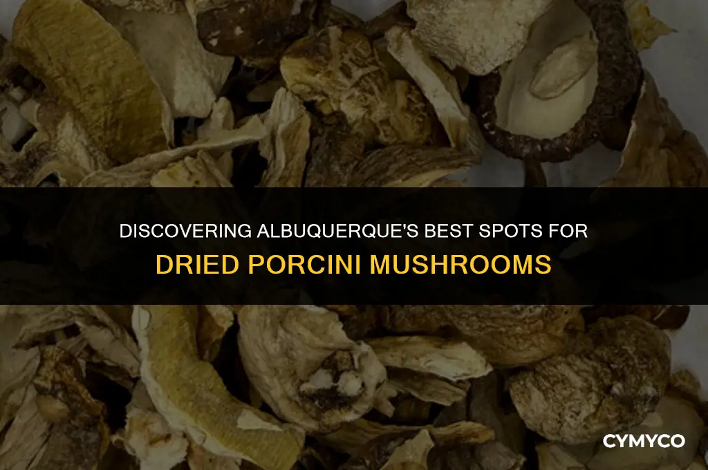 where can i get dried porcini mushroomsin albuquerque
