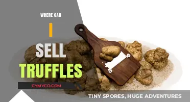 Top Places to Sell Truffles for Maximum Profit and Exposure