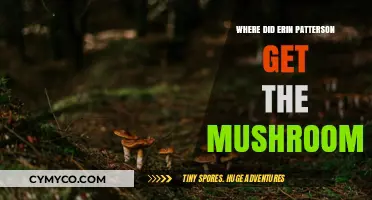 Unveiling the Mystery: Erin Patterson's Mushroom Source Revealed