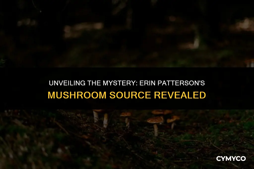 where did erin patterson get the mushrooms