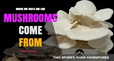 The Surprising Origins of Goats and Mushrooms: A Fascinating Journey