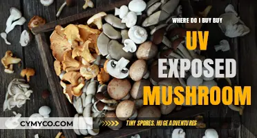 Where to Buy UV-Exposed Mushrooms: A Comprehensive Guide