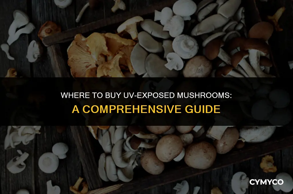 where do i buy buy uv exposed mushrooms
