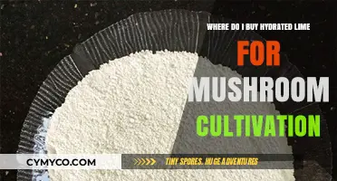 Where to Buy Hydrated Lime for Mushroom Cultivation: A Comprehensive Guide