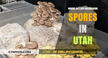 Exploring Utah's Best Sources for Mushroom Spores: A Comprehensive Guide