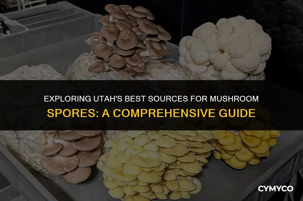 where do i buy mushroom spores in utah