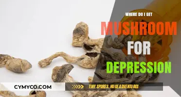 Exploring Natural Remedies: Sourcing Mushrooms for Depression Relief