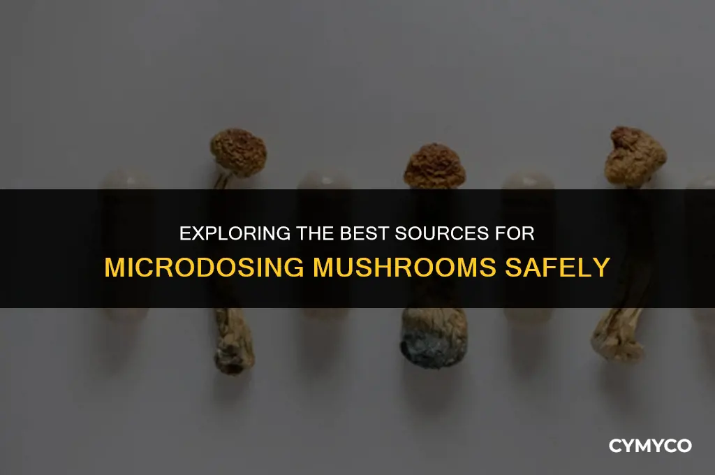 where do i get mushrooms for microdosing