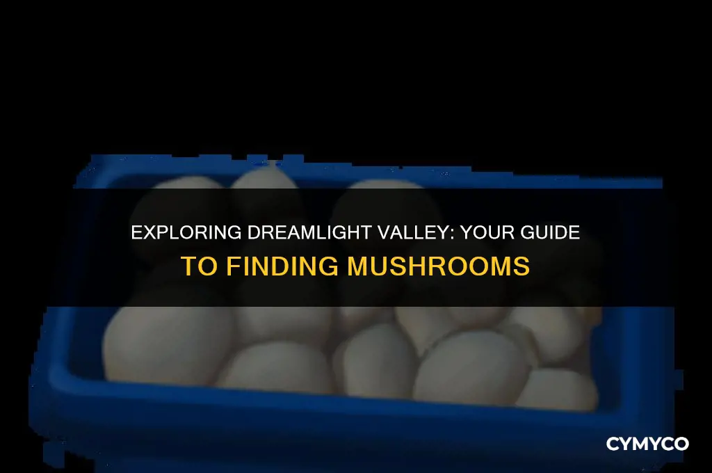 where do i get mushrooms in dreamlight valley