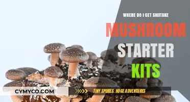 Shiitake Mushroom Starter Kits: Your Guide to Growing Gourmet Fungi at Home
