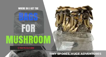 Where to Find the Perfect Bags for Mushroom Growing: A Comprehensive Guide