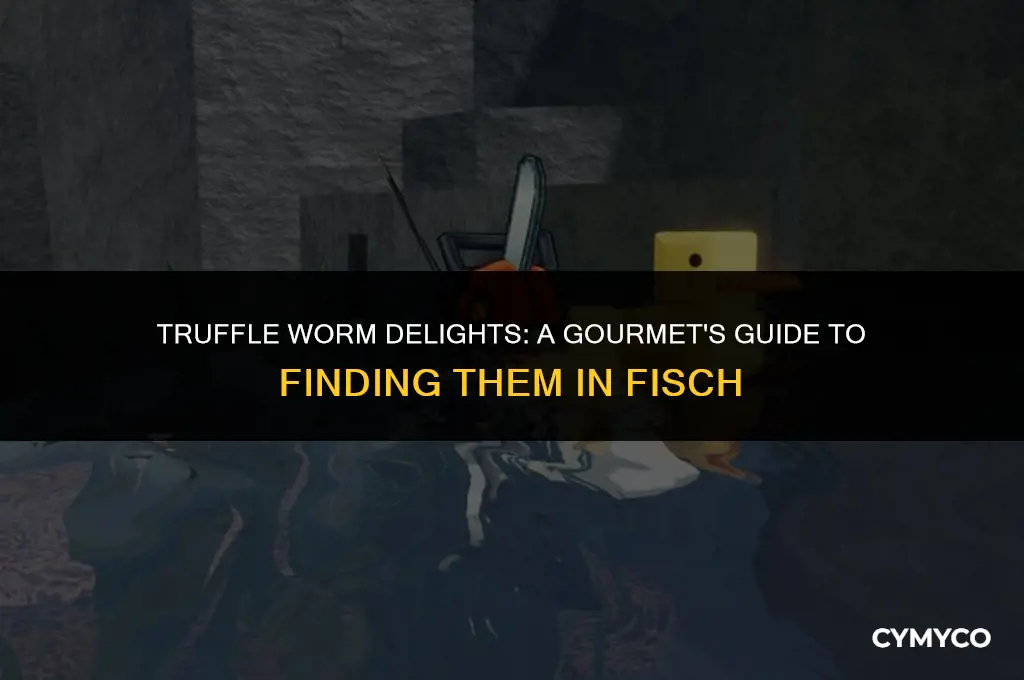 where do i get truffle worms in fisch