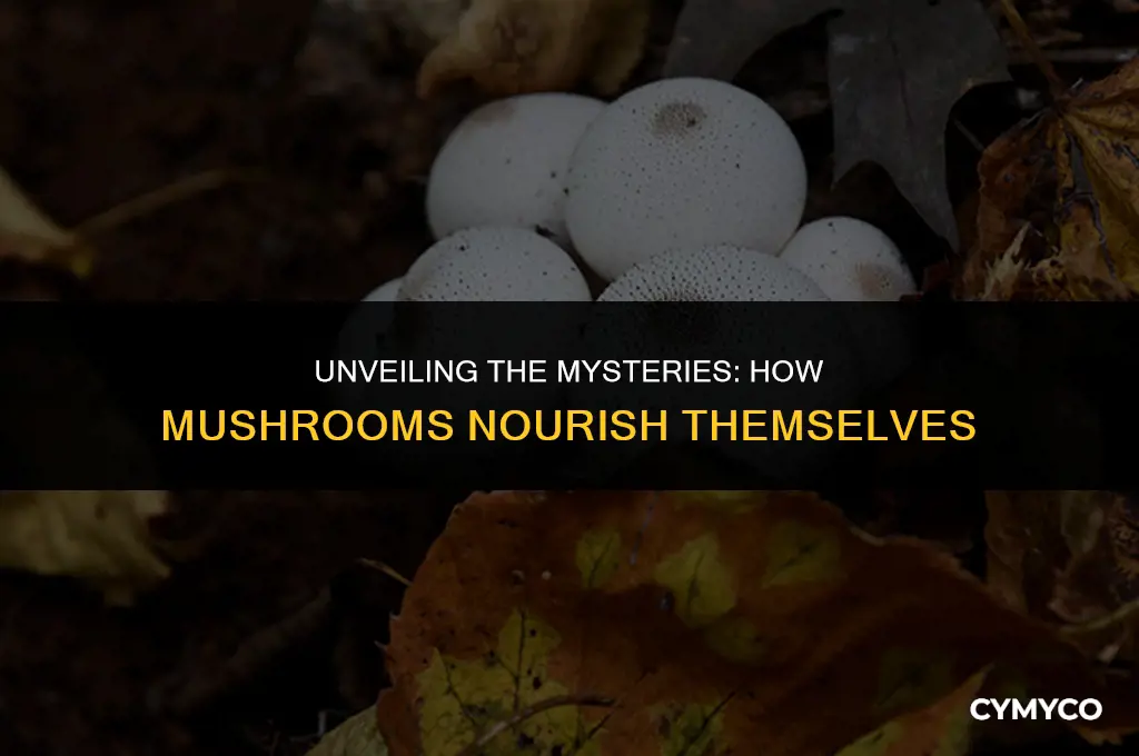 where do mushrooms get nourishment