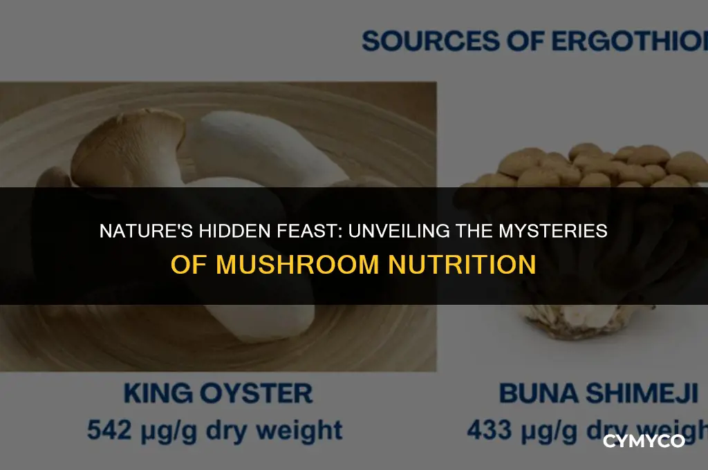 where do mushrooms get their food