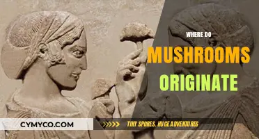 Unveiling the Ancient Origins of Mushrooms: A Fungal Journey