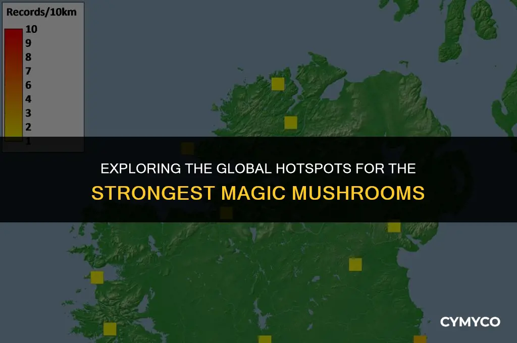 where do the strongest magic mushrooms grow