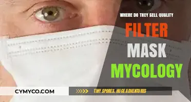Where to Find High-Quality Filter Masks for Mycology: A Comprehensive Guide