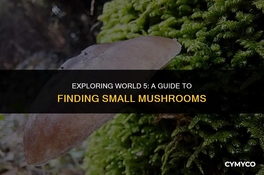 where do u get small mushrooms on world 5