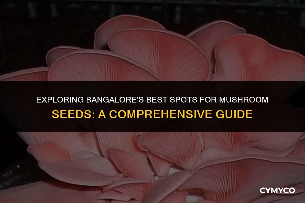 where do we get mushroom seeds in bangalore