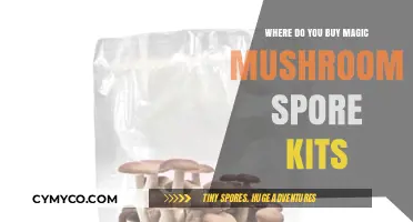 Exploring the Best Sources for Magic Mushroom Spore Kits Online