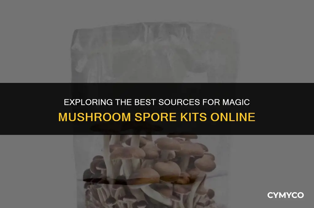 where do you buy magic mushroom spore kits