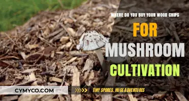 Sourcing Wood Chips for Mushroom Cultivation: A Comprehensive Guide
