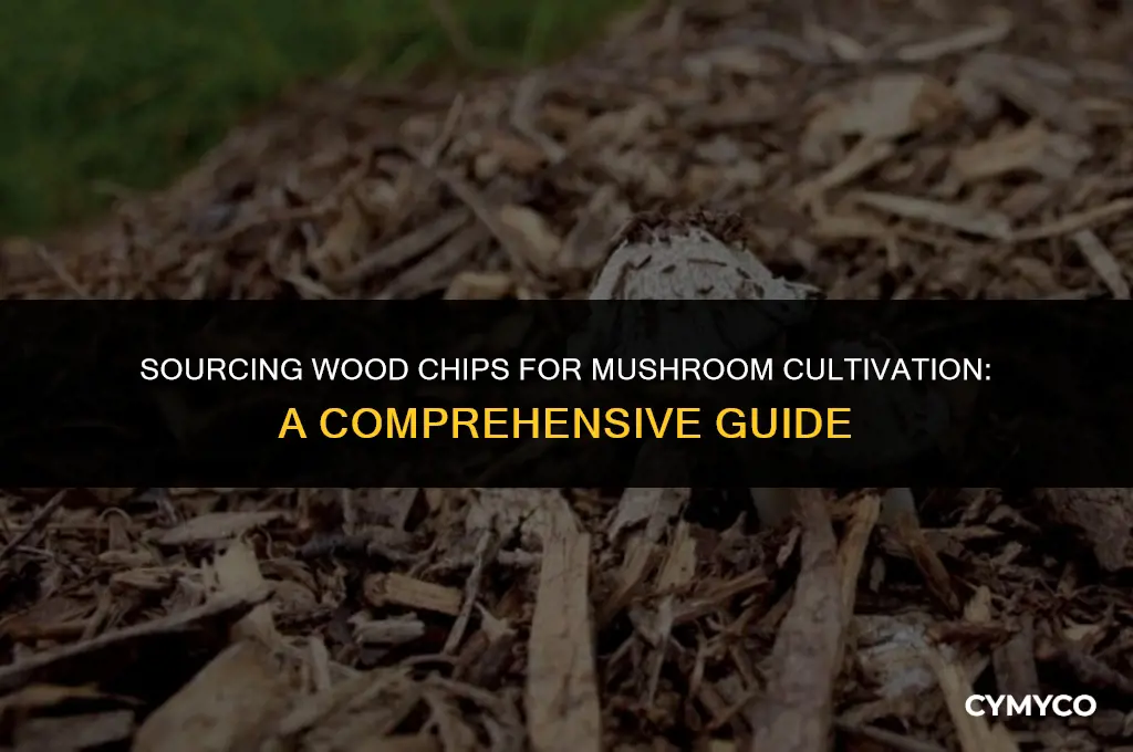 where do you buy your wood chips for mushroom cultivation