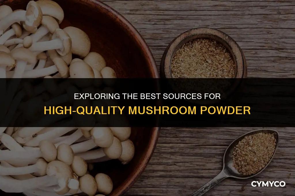 where do you get mushroom powder