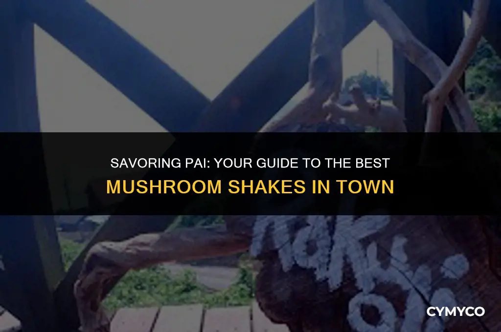 where do you get mushroom shakes in pai