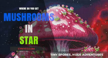 Exploring the Cosmos: A Guide to Finding Mushrooms Among the Stars