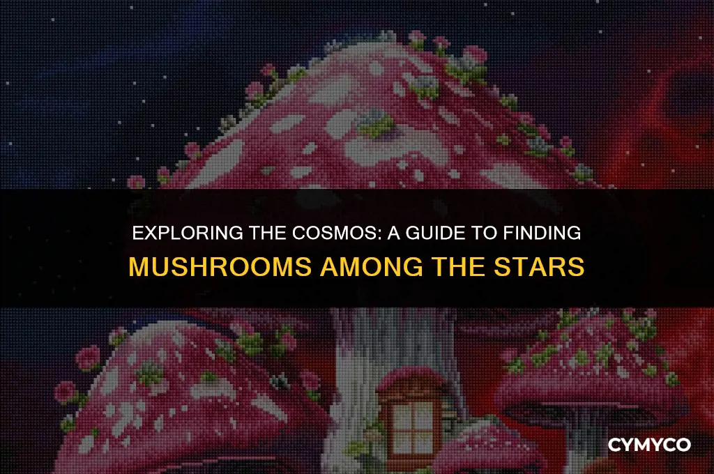 where do you get mushrooms in star