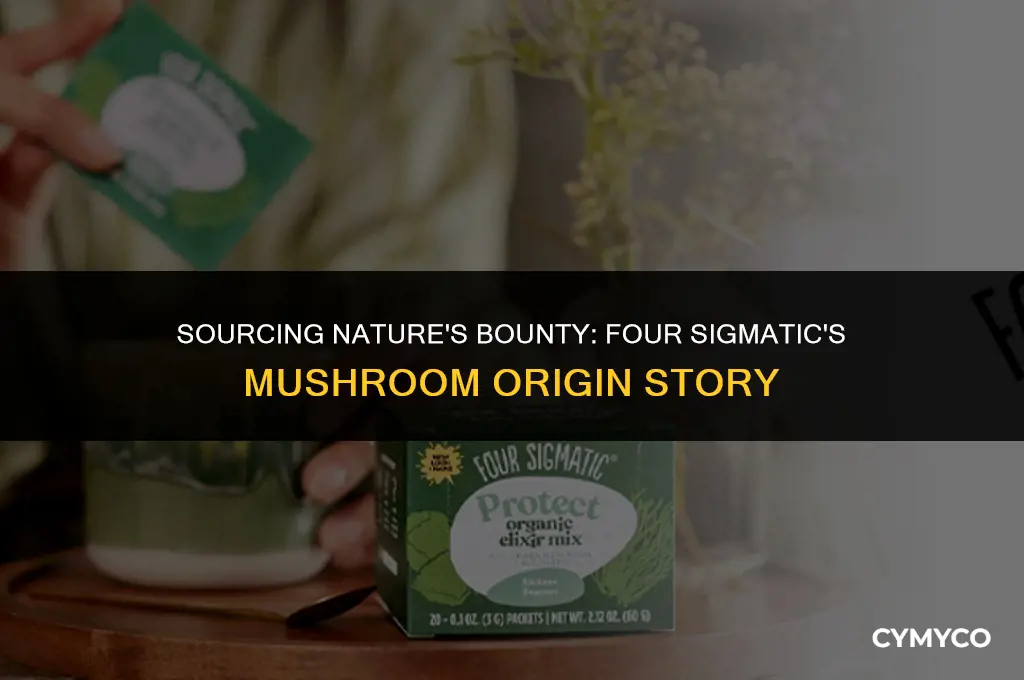 where does four sigmatic get their mushrooms