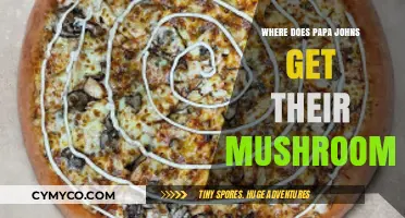 Exploring Papa John's Mushroom Sources: A Delicious Journey